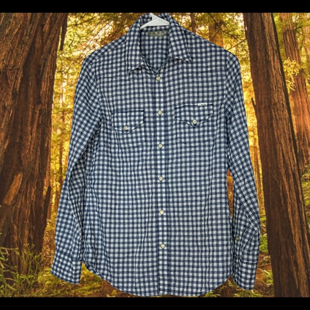MOTHER ALL MY EX's Pearlized Snap Button Down  Blue Check Western Shirt